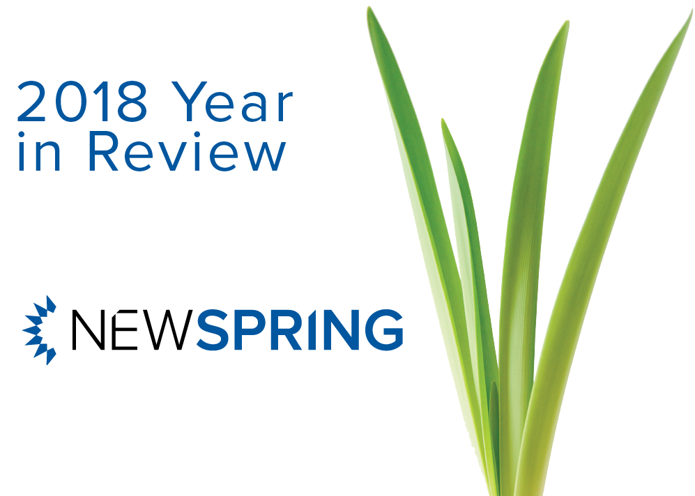 NewSpring's Year in Review