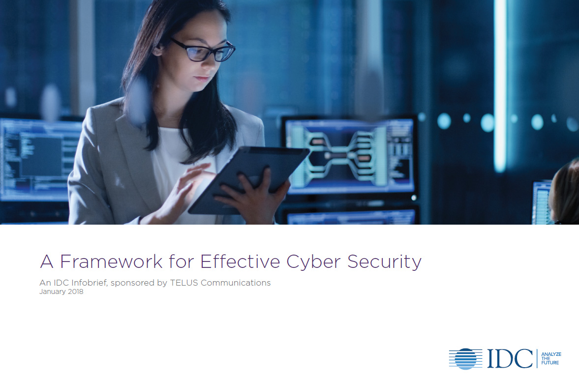 IDC White paper - A Framework for Effective Cyber Security