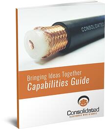 Bringing Ideas Together Capabilities Guide