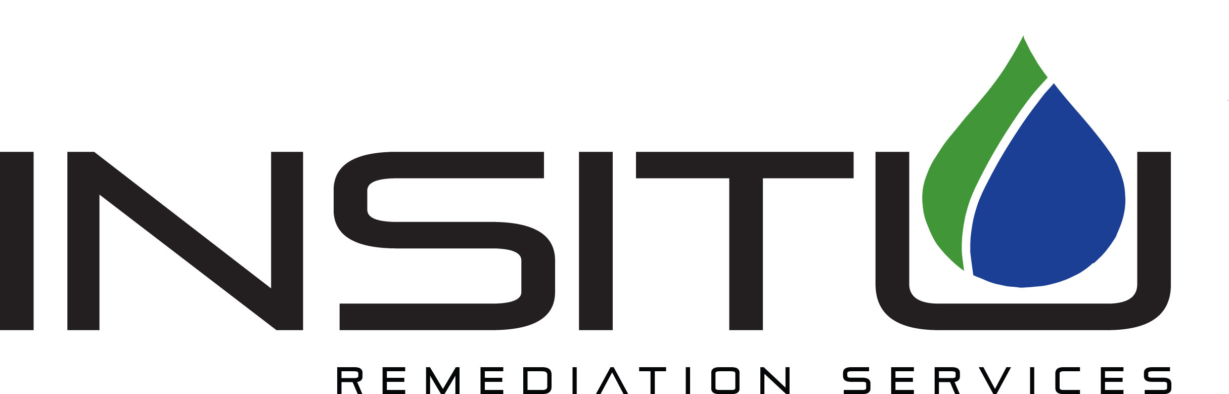 Insitu_Logo_1 (3).jpg